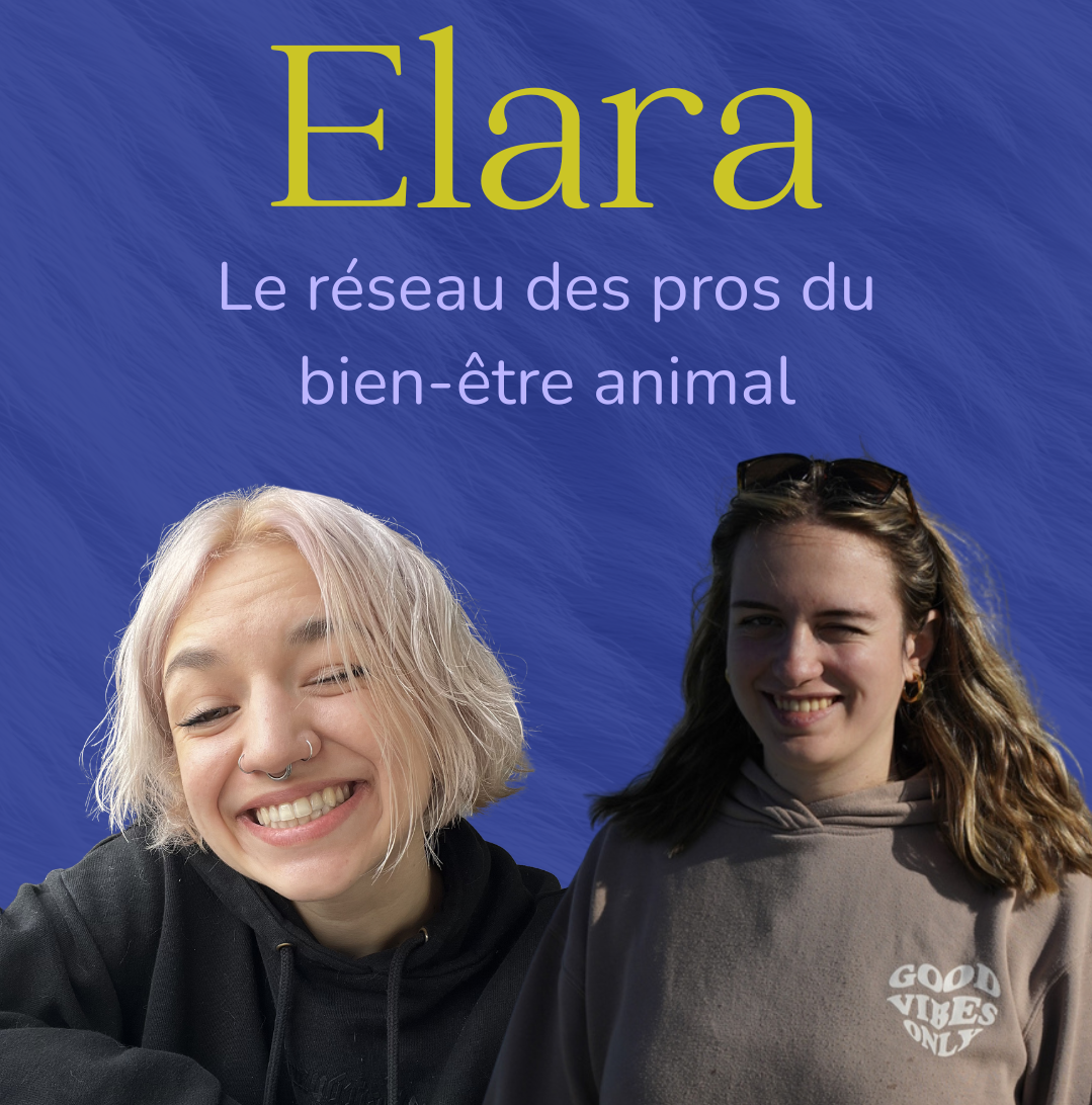 Réseau Elara